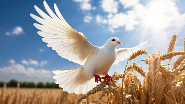 Плоды Духа Святого что это? Галатам 5 : 22, 23